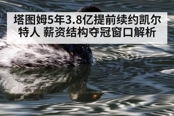 塔图姆5年3.8亿提前续约凯尔特人 薪资结构夺冠窗口解析